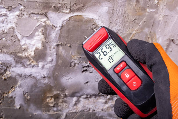 Best Mold Remediation Experts  in Sauk City, WI