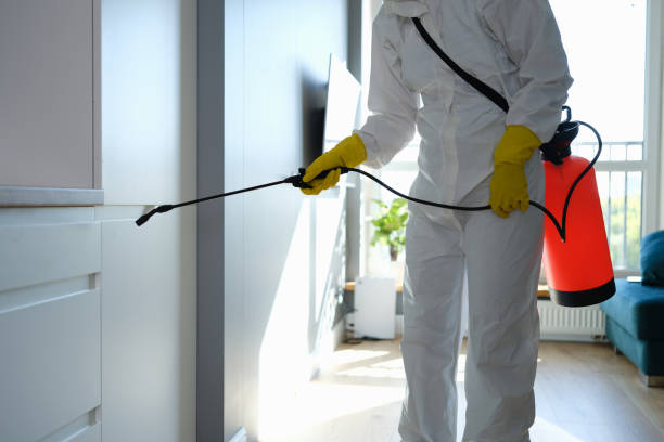 Best Residential Mold Removal  in Sauk City, WI