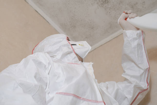 Best Crawl Space Mold Removal  in Sauk City, WI